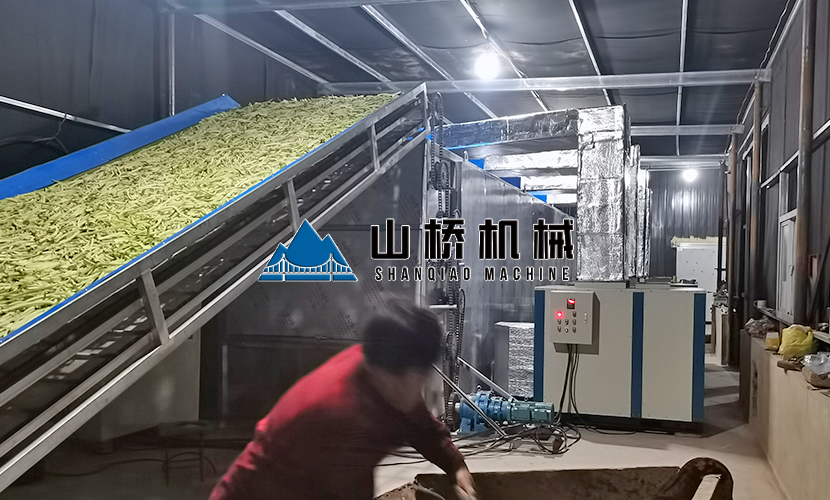 網(wǎng)帶式蘿卜烘干機優(yōu)勢有什么？(圖1)