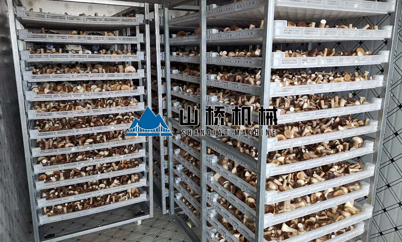網(wǎng)帶式食用菌烘干機(jī)多少錢一臺？(圖1)