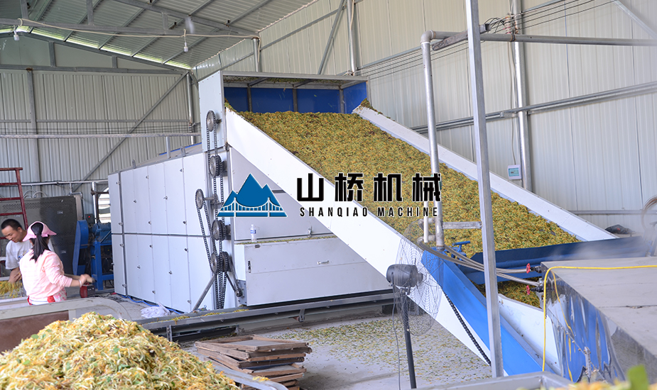 大型金銀花網(wǎng)帶烘干機 大型金銀花網(wǎng)帶烘干機