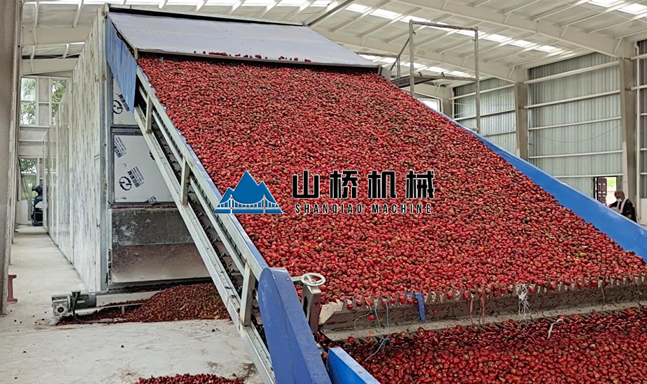 大型網(wǎng)帶式辣椒烘干機(jī)(圖1) 大型網(wǎng)帶式辣椒烘干機(jī)(圖1)