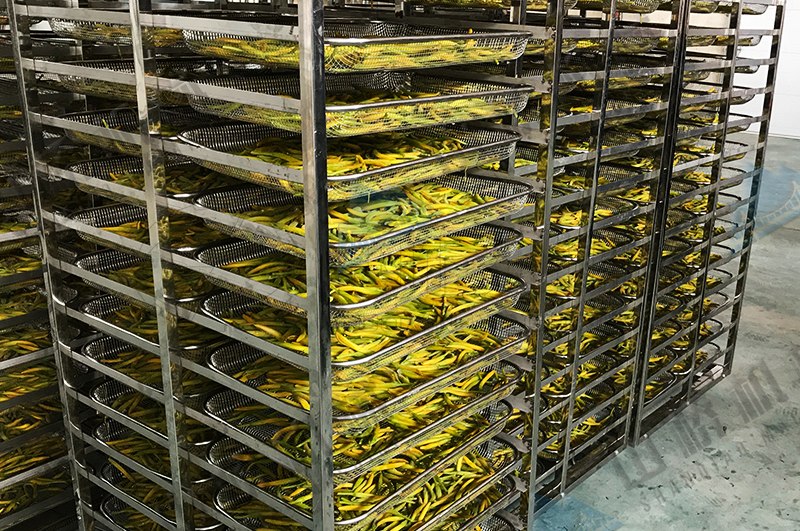 空氣能熱泵“黃花菜烘干”工藝(圖3) 空氣能熱泵“黃花菜烘干”工藝(圖3)