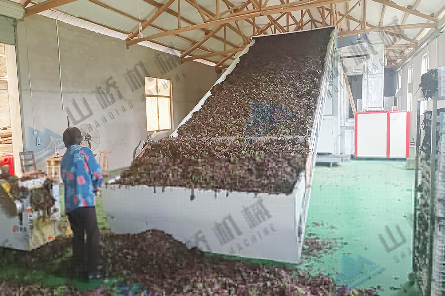 大型網(wǎng)帶烘干機(jī)在中藥材加工中的作用(圖1) 大型網(wǎng)帶烘干機(jī)在中藥材加工中的作用(圖1)