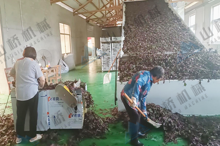 大型網(wǎng)帶烘干機(jī)在中藥材加工中的作用(圖2) 大型網(wǎng)帶烘干機(jī)在中藥材加工中的作用(圖2)