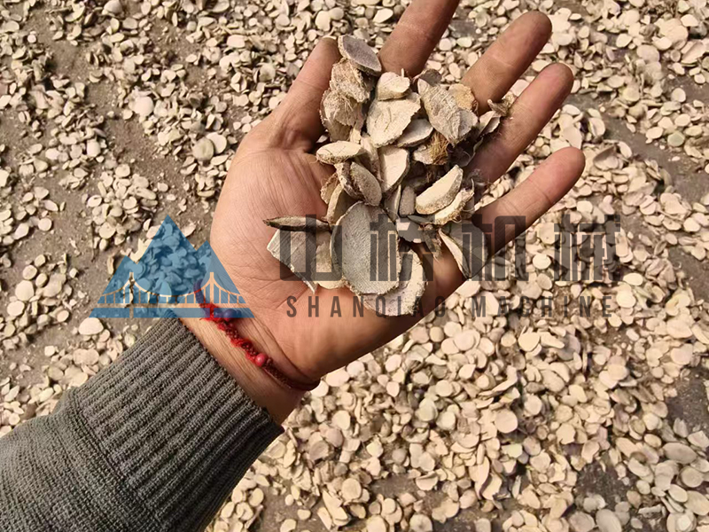 什么是中藥材烘干機(jī)，用熱泵烘干中藥材有什么好處！(圖1)