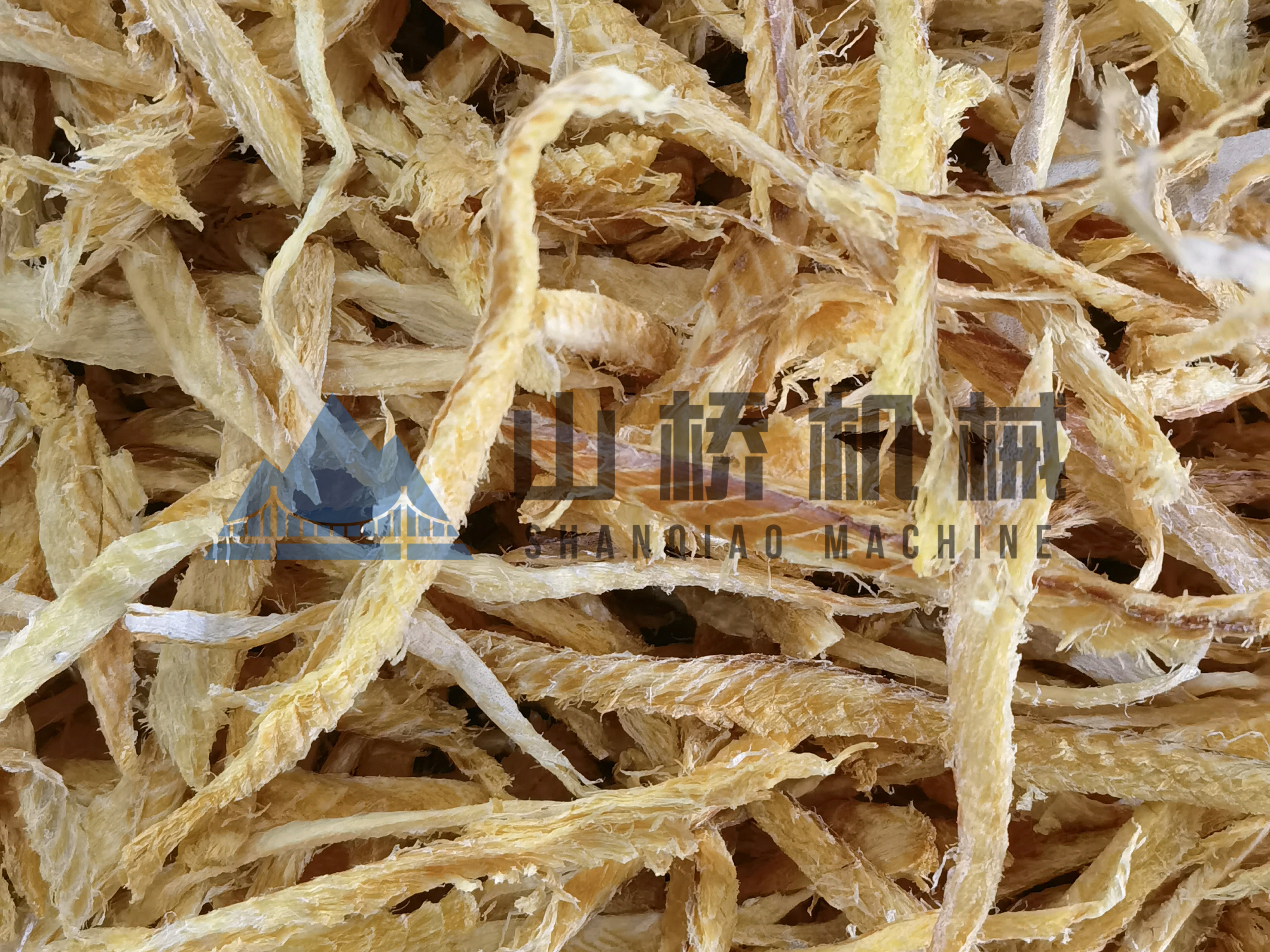 海產(chǎn)品烘干，選對(duì)設(shè)備很重要！(圖2)