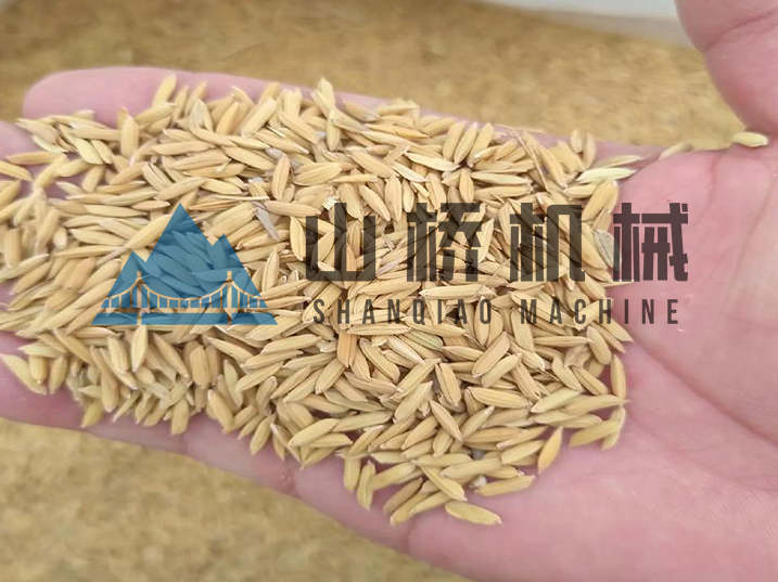 守護(hù)糧安:現(xiàn)代化稻谷烘干工藝解析(圖1) 守護(hù)糧安:現(xiàn)代化稻谷烘干工藝解析(圖1)